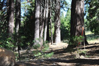 619 W Burnt Cedar Rd, Lake Almanor, CA 96137
