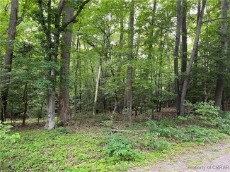 Lot 114 Hickory Rd, Lancaster, VA 22503