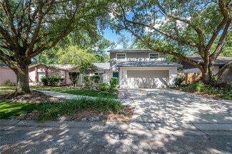 14706 Tall Tree Dr, Lutz, FL 33559