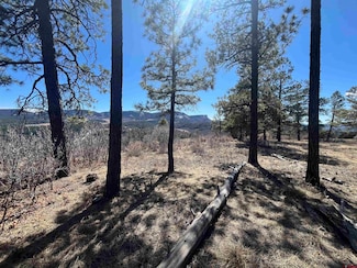 174 Caraway Ct, Pagosa Springs, CO 81147