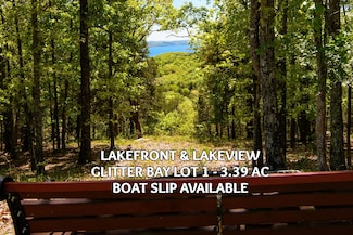 Lot 1 Waterfield Dr, Ruth C Township, MO 65737