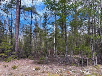 Lot 241 Kauffman Rd, Presque Isle Harbor, MI 49777