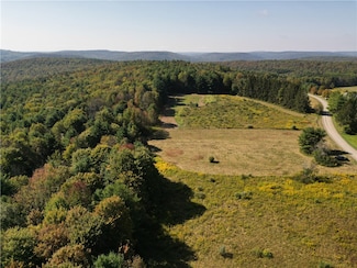 330 Tallow Hill Rd, Spencer, NY 14883