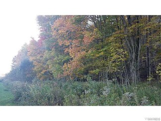 0 Delude Hill Rd Unit B1024717, Nunda, NY 14517