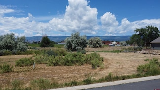 730 SE Pinyon St, Cedaredge, CO 81413