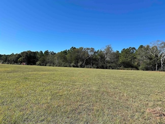 13B  / TBD Old Spanish Trial Dr, Alto, TX 75925