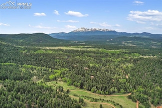 584 Sourdough Rd, Woodland Park, CO 80863