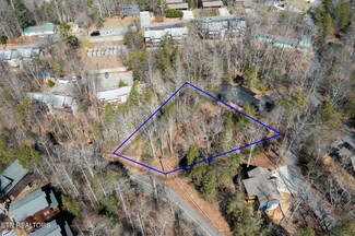 Lot 2 Johnson Lane Proffitt Rd, Gatlinburg, TN 37738