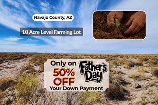 N N Porter Rd, Joseph City, AZ 86032