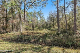 10690 Gregory Ave, Hastings, FL 32145