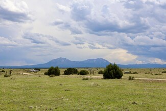 0 La Deora Blvd Unit Lot 156 25-620, Walsenburg, CO 81089