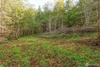 217 Deer Fern Ln, Longview, WA 98632