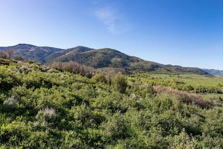 34200 Panorama Dr, Steamboat Springs, CO 80487