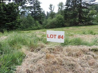 0 Vivian Ct Unit 4 21235316, Carson, WA 98610