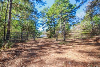 2742 County Road 441 N, Palestine, TX 75803