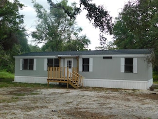 259 Blossom Ln, Reidsville, GA 30453