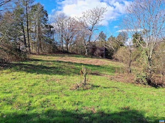 0 Horn Hollow Ln Unit 665596, Madison, VA 22727