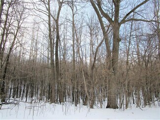0 330th Ave County Rd I Unit 6146457, Frederic, WI 54837