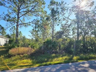 29 Roxton Ln, Palm Coast, FL 32164