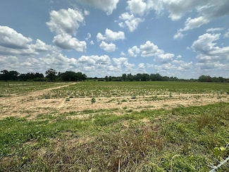 8 Acres Lot 9 Julia Sanders Rd, Dothan, AL 36305