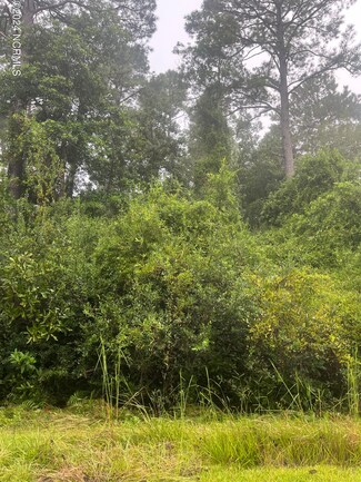 51 Bluebird Rd, Boiling Spring Lakes, NC 28461