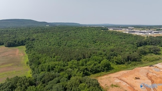 SEC 22 Monroe Rd, Toney, AL 35773