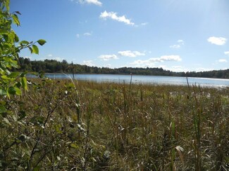 TBD County Road 118 NW, Backus, MN 56435
