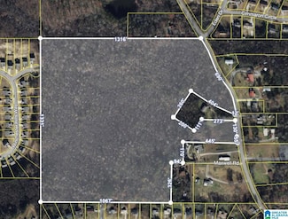 5442 Tyler Loop Rd, Bradford, AL 35126