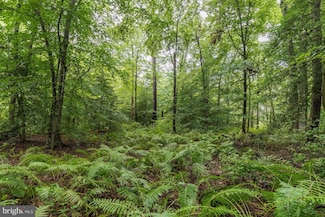 0 Laurel Bowie - Parcel 36, Laurel, MD 20707
