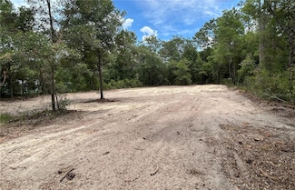 000 SW 202nd Ct, Dunnellon, FL 34431
