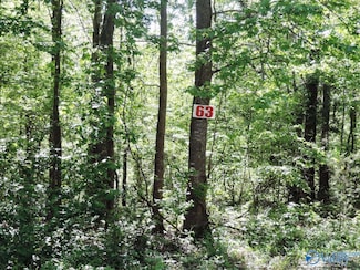 63 Timberline Cir, Jasper, AL 35504