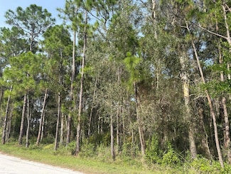 Tdb Top Trail, Fort Pierce, FL 34951
