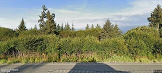 27191 Sterling Hwy, Anchor Point, AK 99556