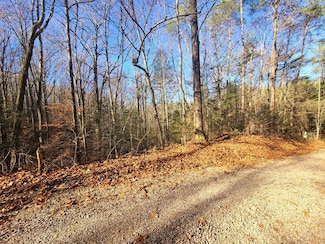 Lot 26 Walden Cove Way, Sevierville, TN 37862