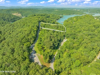 6 Shanghai Landing Ln, Lafollette, TN 37766