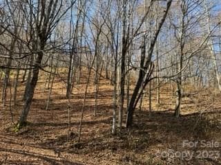 00 Tawodi Trail Unit 13, Maggie Valley, NC 28751