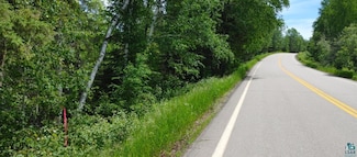 XXX Fernberg Rd, Ely, MN 55731