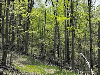 26115 Jumonville Rd, North Union Township, PA 15445