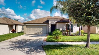 12617 Lemon Pepper Dr, Riverview, FL 33578