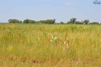 St Hwy 6, Benjamin, TX 79505