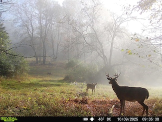 0 W Creek Rd, Emporium, PA 15834