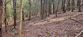 155 Merry Hill Rd, Bartonsville, PA 18321