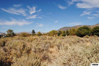 0 Us Highway 395 Unit 170015321, Walker, Ca, CA 96107