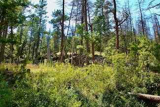 0 Box Canyon Ln Unit 22180270, Cascade, MT 59421