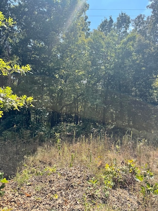 Tbd Pp Hwy, Collins, MO 64738