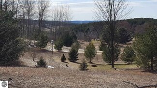 Lot 8 Bebb Rd Unit 8, Alden, MI 49612