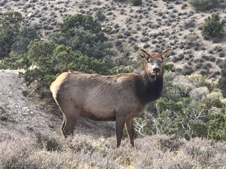 0 Lonesome Elk Rd Unit 2373835, Las Vegas, NV 89124
