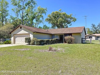 3189 Parkhill Ave, Spring Hill, FL 34609