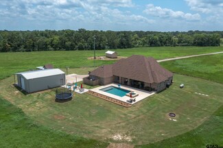 380 Vz County Road 1832, Grand Saline, TX 75140