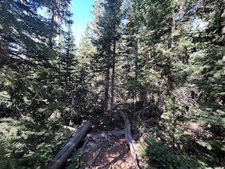 0 W Hunter Ridge Dr, Brian Head, UT 84719